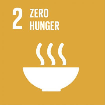 SDG 2 Zero Hunger