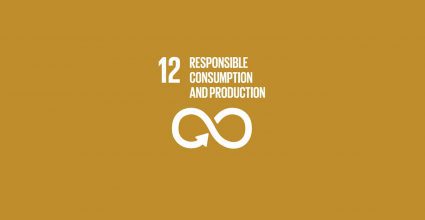 SDG 2 Zero Hunger