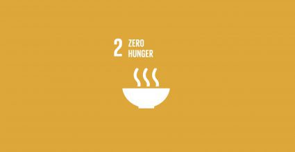 SDG 2 Zero Hunger