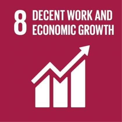 SDG 8 Decent work and economic growth